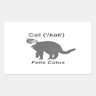 Cat Felis Catus Rectangular Sticker