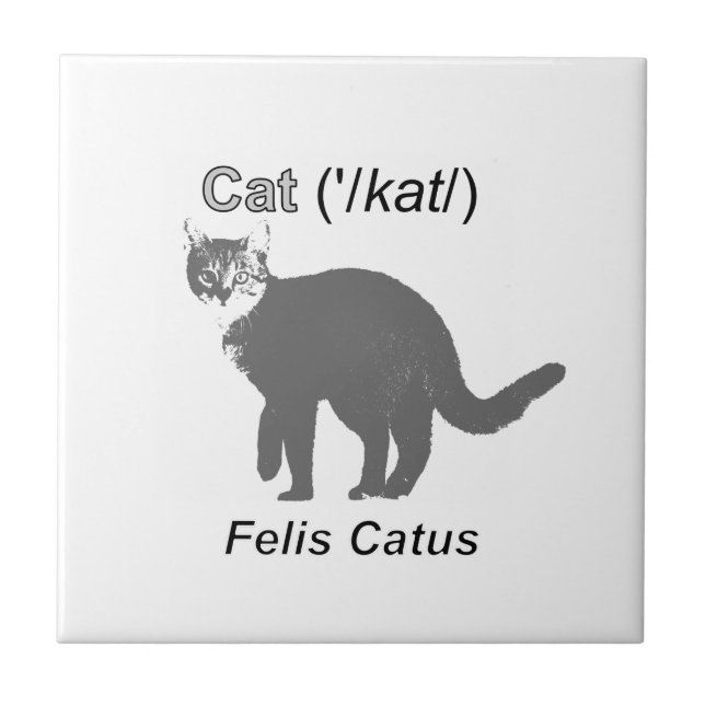 Cat Felis Catus Tile (Front)
