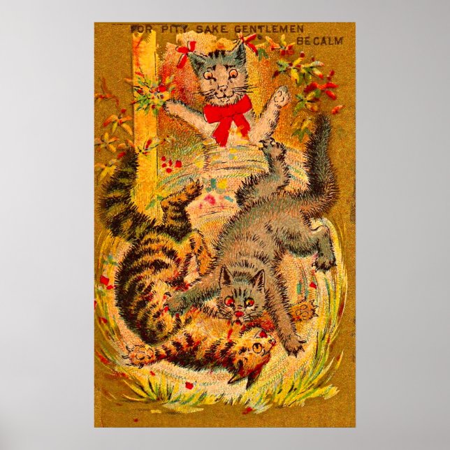 cat fight poster (Front)