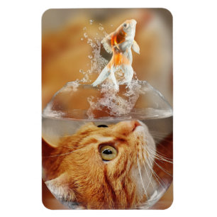 Cat & Fish Magnet