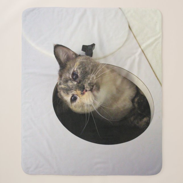 Cat Fleece Blanket (Front)