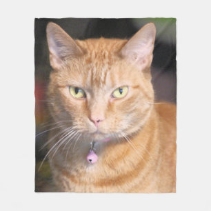 Cat Fleece Blanket