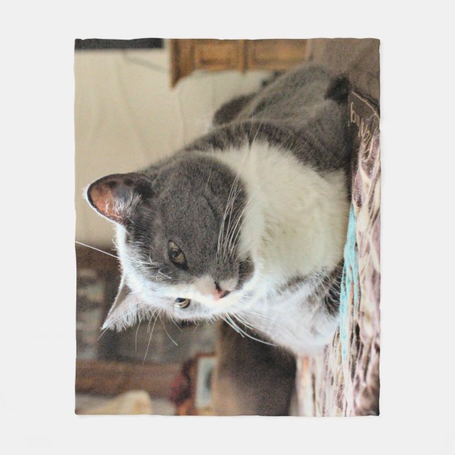 Cat Fleece Blanket (Front)