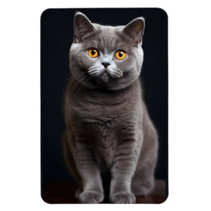 Cat Fllexible Photo Magnet