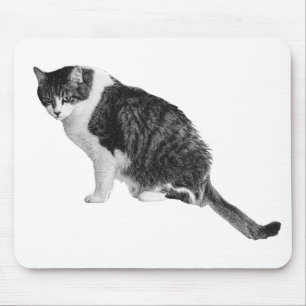 Cat Focus Mousepad Supports Tranquil Workday Flow