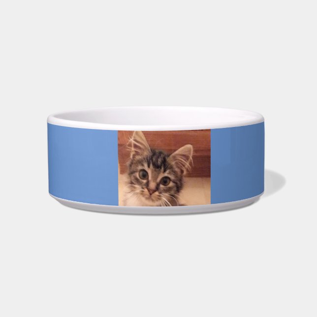 Cat Food, Water Bowl Pet Bowl (Front)