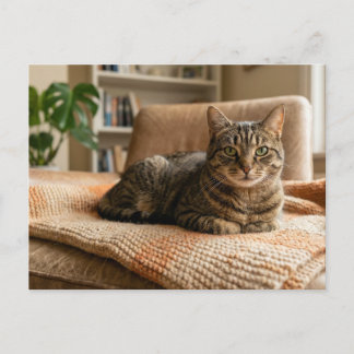 Cat Forever Home Announcement  Postcard