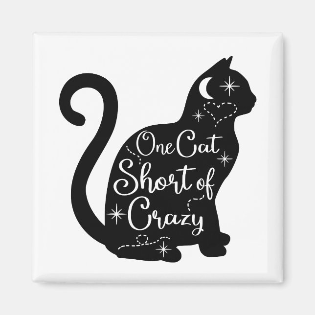Cat fridge magnet  (Front)