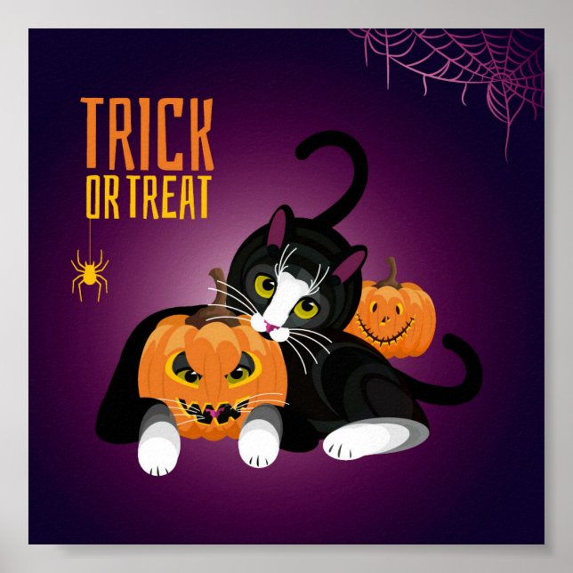 Cat fun at Halloween playing with the pumpkins Pos Poster (Front)
