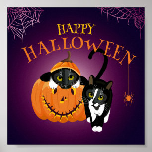 Cat fun at Halloween playing with the Pumpkins Poster