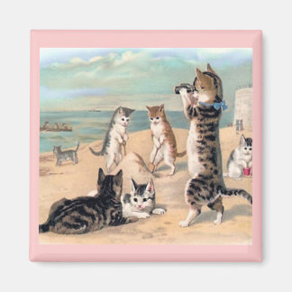 Cat Fun at the Beach Magnet