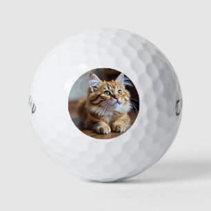 Cat funny  golf balls