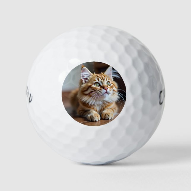 Cat funny  golf balls (Front)