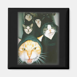 Cat Gang Meme Funny Chaotic Cats Unhinged Feline H Magnet