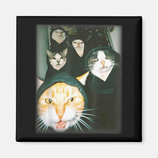 Cat Gang Meme Funny Chaotic Cats Unhinged Feline H Magnet (Front)