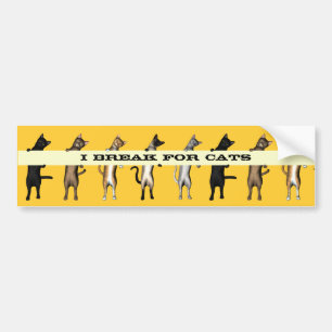 Cat Gang With Banner Bumper Sticker
