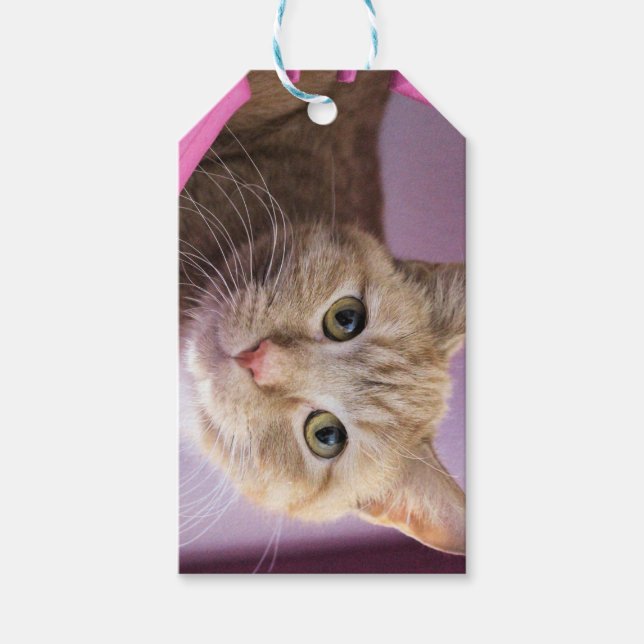 Cat Gift Tags (Front)