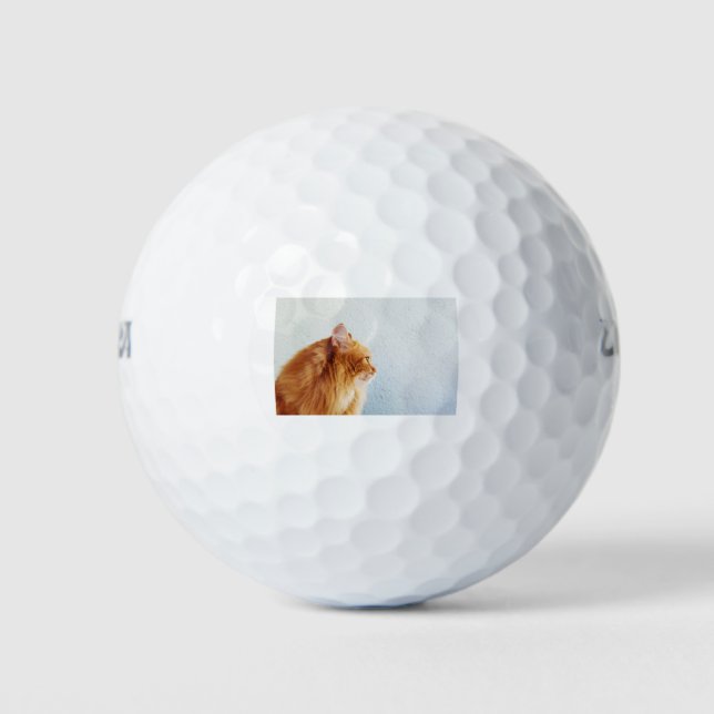 Cat Ginger Fluffy Cat Pet Cat Looks Animals Golf Balls (Front)