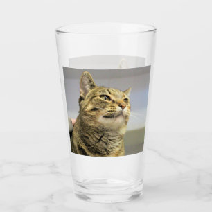 Cat glass