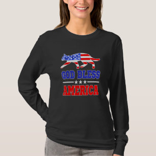 Cat God Bless America July Usa Flag Independence D T-Shirt
