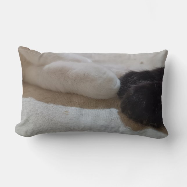 cat god cat man lumbar cushion (Front)
