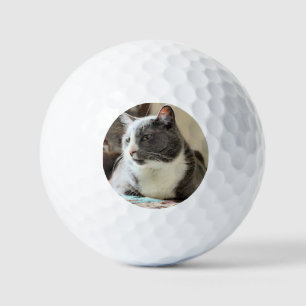 Cat Golf Balls