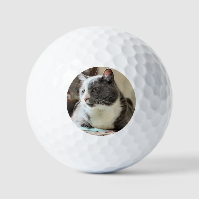 Cat Golf Balls (Front)