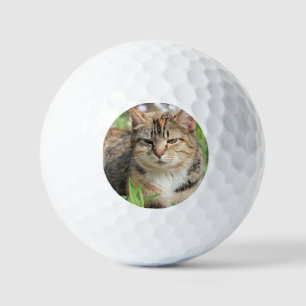 Cat Golf Balls