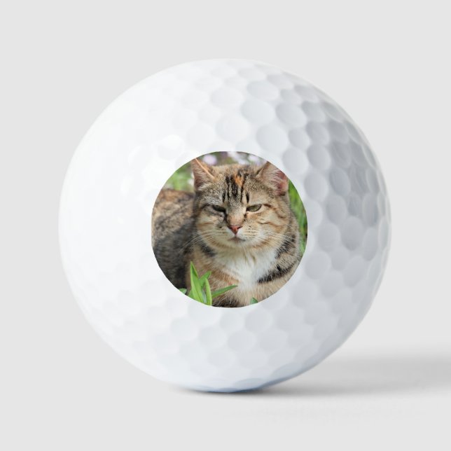 Cat Golf Balls (Front)