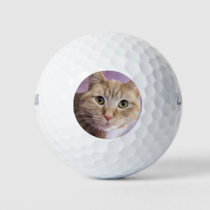 Cat Golf Balls