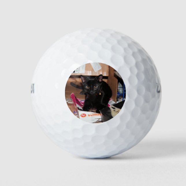 Cat Golf Balls (Front)