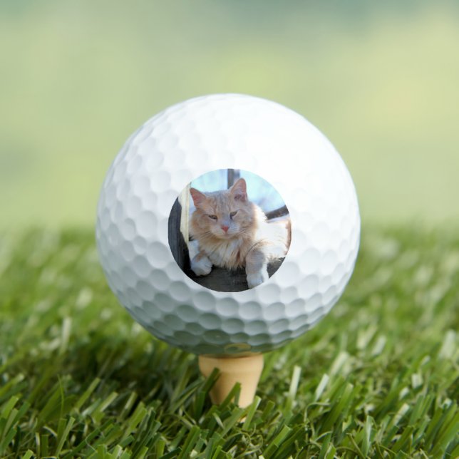 Cat Golf Balls (Insitu Tee)