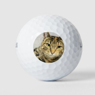 Cat Golf Balls