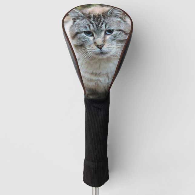 Cat Golf Head Cover (Front)
