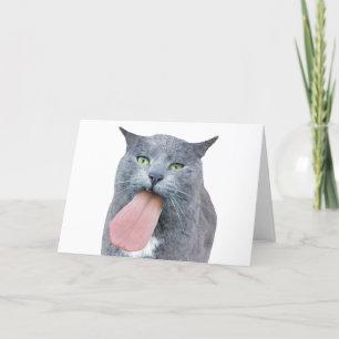 Cat Got Your Tongue? Card