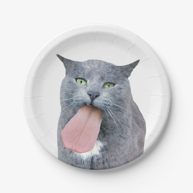 Cat Got Your Tongue? Paper Plate (Front)
