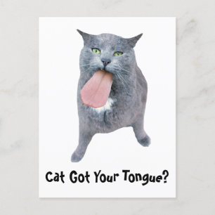 Cat Got Your Tongue? Postcard