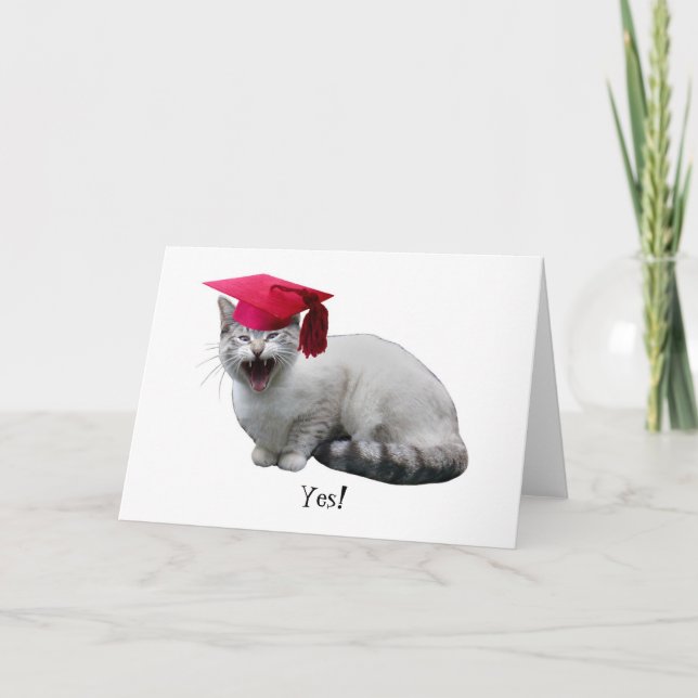 Cat Graduation  Card (Front)