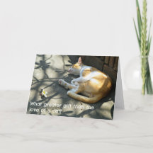 Cat Greetings Card - What Greater Gift?