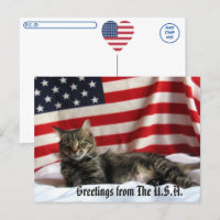 Cat Greetings from the U.S.A. Postcrossing