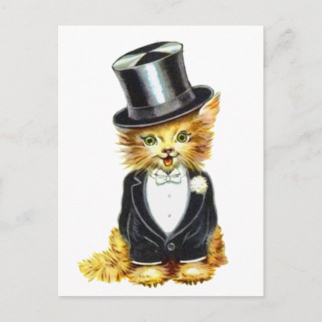 Cat Groom Postcard (Front)
