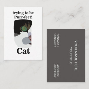 Cat Groomer Veterinary Pet Business Card