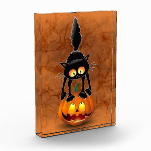 Cat Halloween Scared Cartoon on Pumpkin Photo Block