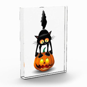 Cat Halloween Scared Cartoon on Pumpkin Photo Block