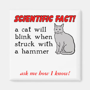 Cat Hammer Funny Magnet Humour