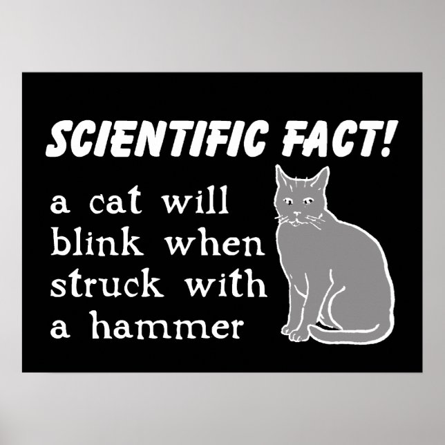 Cat Hammer Funny Print Poster Humour (Front)