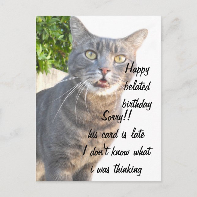 Cat, Happy belated birthdays_ Postcard (Front)