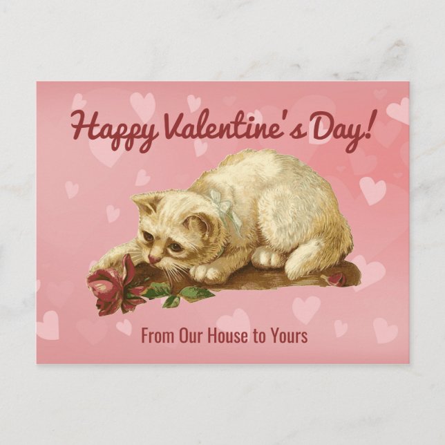 Cat Happy Valentine's Day Post Card Postcard (Front)