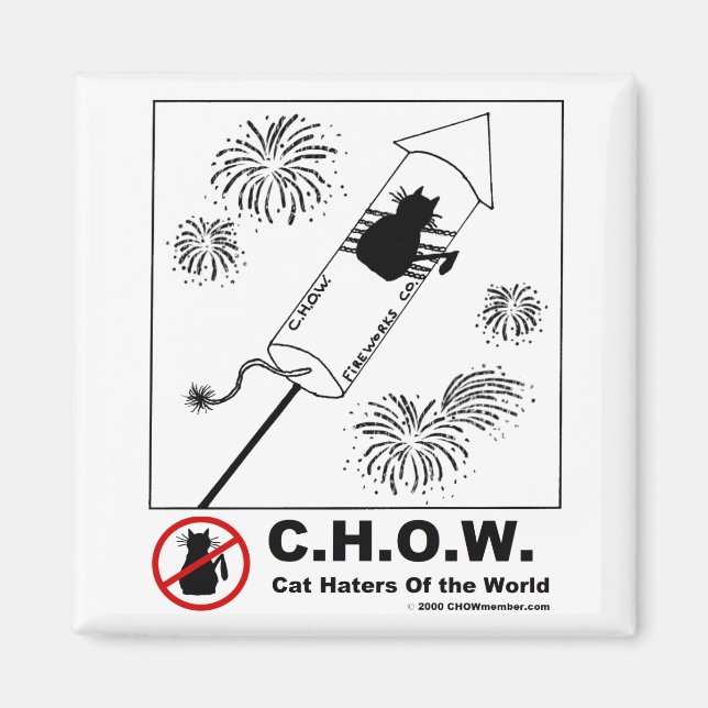 Cat Haters Fireworks Magnet (Front)