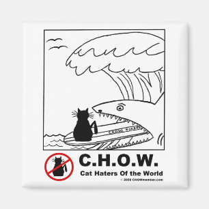 Cat Haters Surfing Magnet